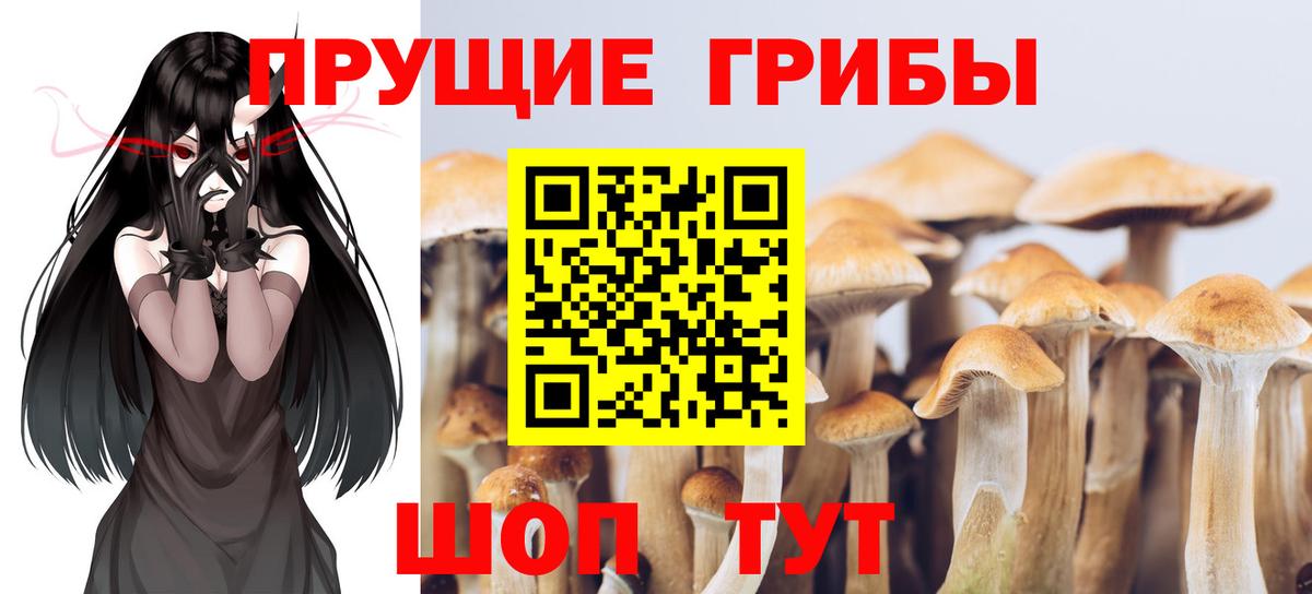 Галлюциногенные грибы мухоморы  Псилоцибиновые грибы Magic Shrooms  Холмск  Вход с VPN 
